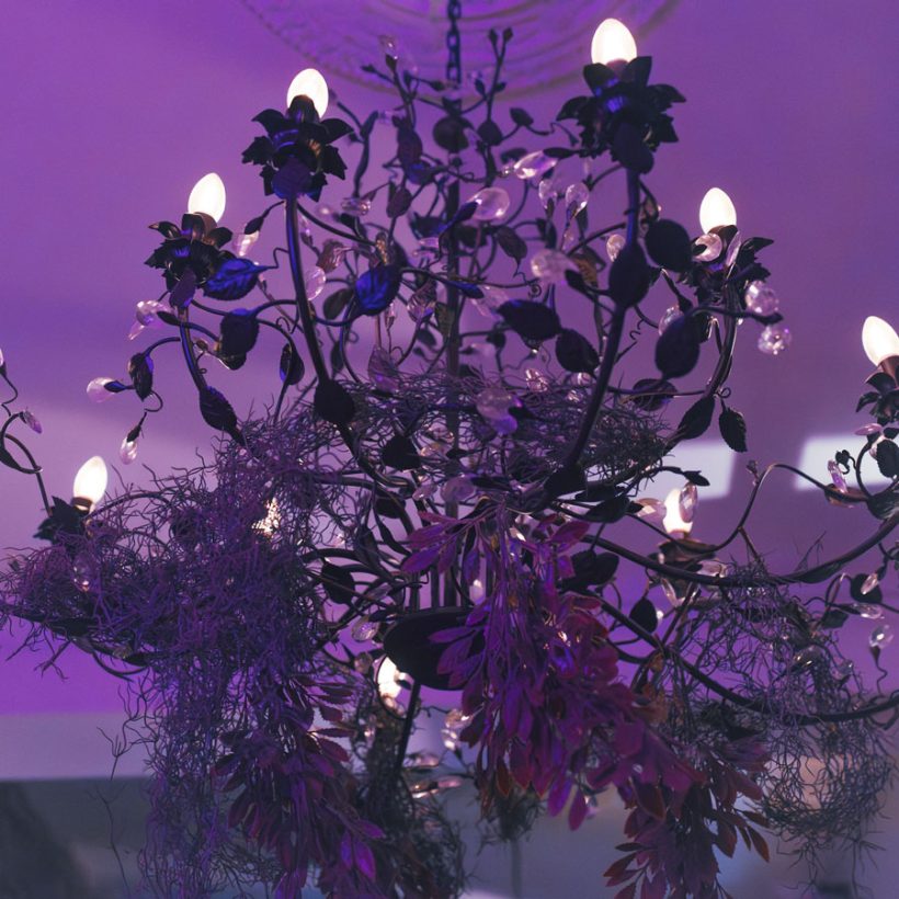 HRD_2583-Verbessert-RR